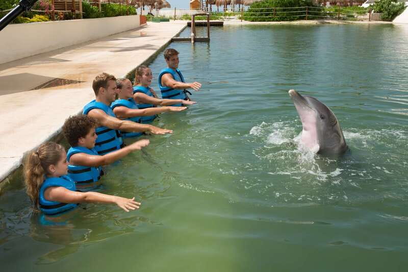 Punta Cancun: Swim with dolphins Interax - Fourteen activities with one dolphin host