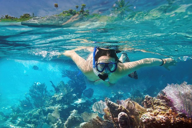 Reef Snorkel In National Park In Puerto Morelos With Lunch And Transportation - The tequila tasting is the main point of friction