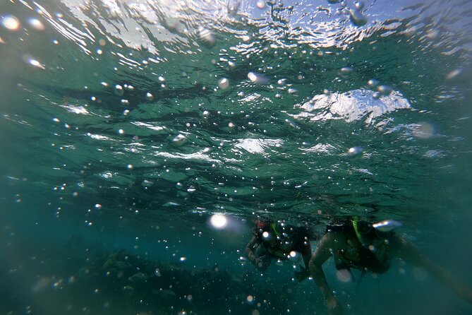 Reef Snorkel In National Park In Puerto Morelos With Lunch And Transportation - Is $44.25 a fair price?