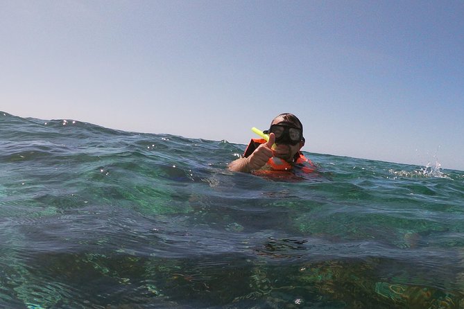 Reef Snorkel In National Park In Puerto Morelos With Lunch And Transportation - Booking details worth knowing