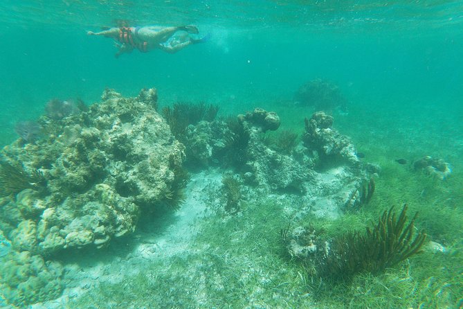 Reef Snorkel, underwater adventure in Puerto Morelos With Transportation & Lunch - Why Puerto Morelos is a good reef base