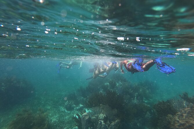 Reef Snorkel, underwater adventure in Puerto Morelos With Transportation & Lunch - Lunch, snacks, tequila, and shopping