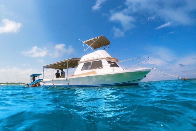 Reef Snorkeling in National Park from Cancun with Beachside Lunch - Marine life and the limits of reef promises