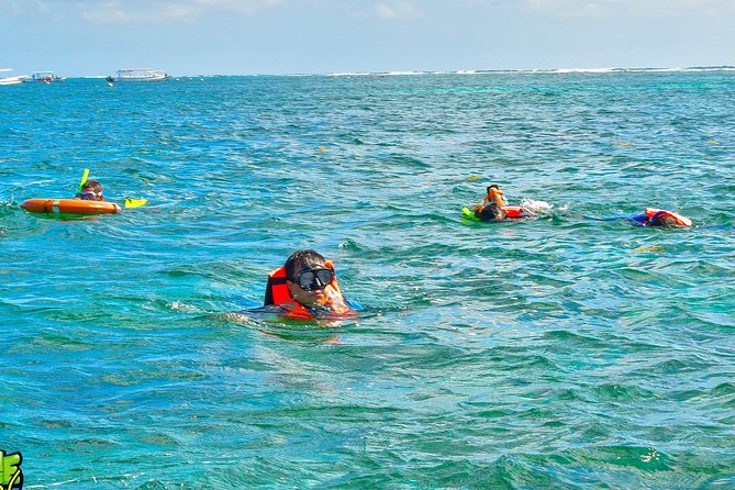Reef Snorkeling in National Park from Cancun with Beachside Lunch - Who should book this Puerto Morelos trip