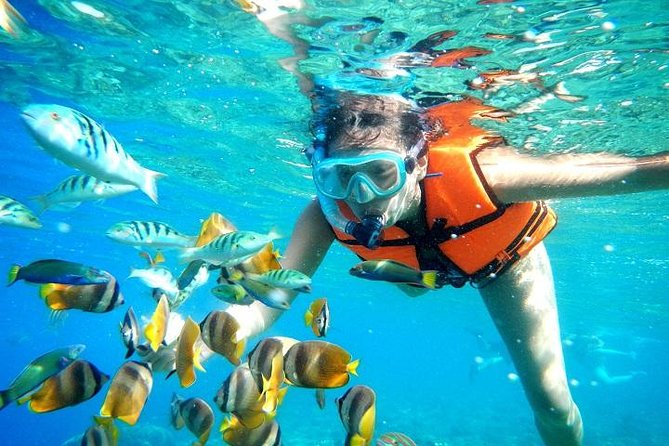 Reef Snorkeling in National Park from Cancun with Beachside Lunch - What happens in the water