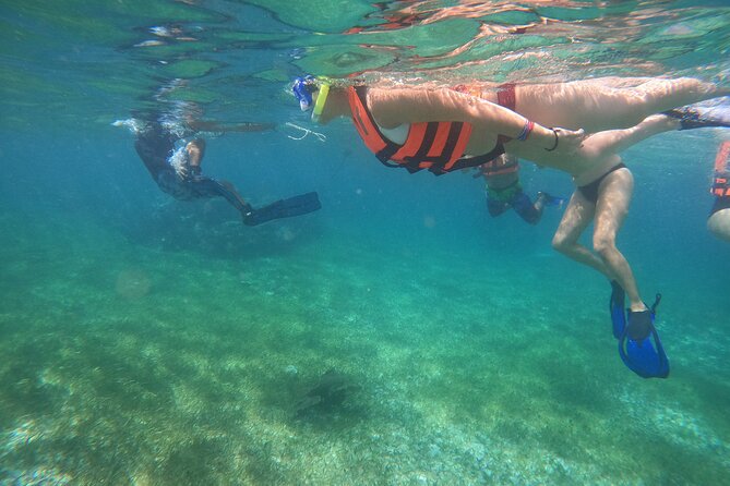 Reef Snorkeling with ATV, Zipline, Cenote that includes lunch and transportation - A big activity day from Puerto Morelos to the jungle