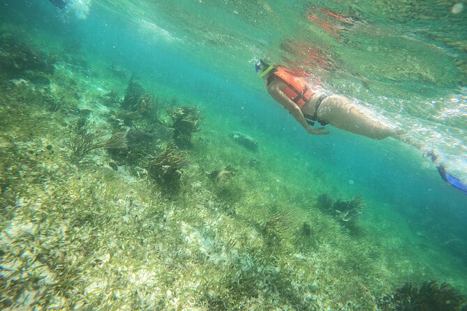 Reef Snorkeling with ATV, Zipline, Cenote that includes lunch and transportation - Forty-five minutes on the ziplines