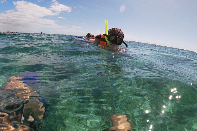 Reef Snorkeling with ATV, Zipline, Cenote that includes lunch and transportation - A short Puerto Morelos stop before the inland run
