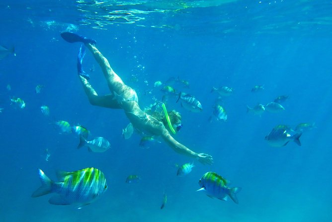 Riviera Maya Luxury Snorkeling Cruise with Lunch and Drinks - Lunch, tequila, and the onboard mood