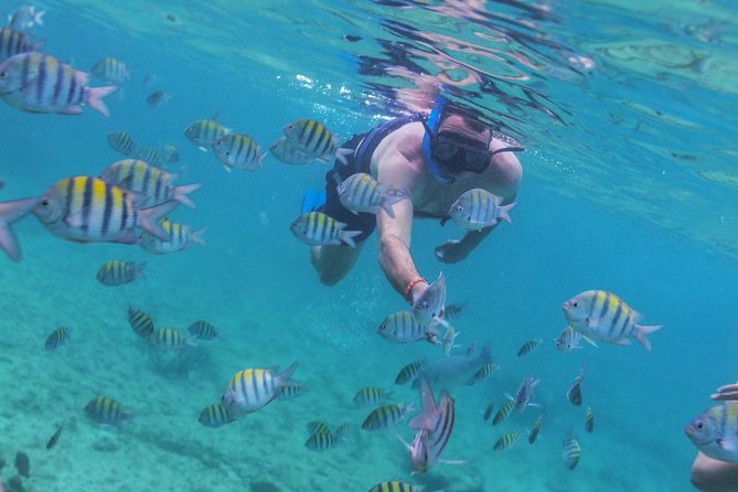 Riviera Maya Luxury Snorkeling Cruise with Lunch and Drinks - Who should book this cruise?