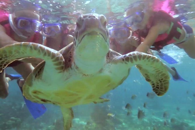 Riviera Maya Snorkeling - Snorkeling Puerto Morelos reef