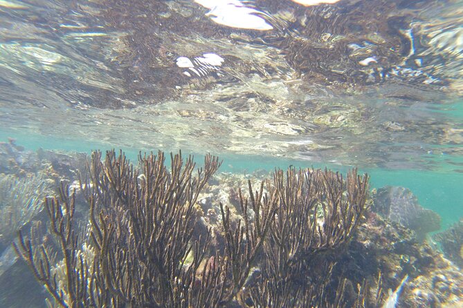 Riviera Maya Snorkeling - Weather, cancellation, and the smart booking choice