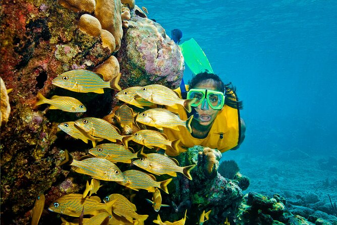 Riviera Maya Snorkeling Adventure: Lagoon, Cenotes Open & Cavern - Who will get the most from this outing