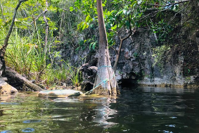 Sacred Adventure at Xenotes! 4 Different Cenotes + Round Transportation - What to pack for wet activities