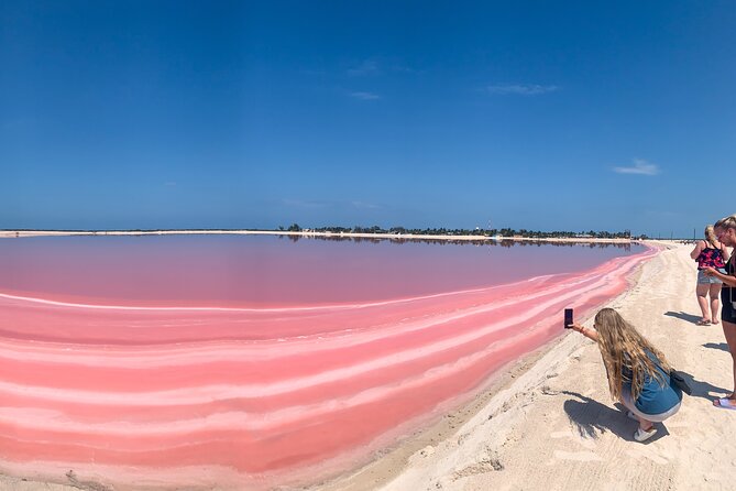 Safari in Rio Lagartos, Coloradas and Mayan Bath - Key points to know before booking