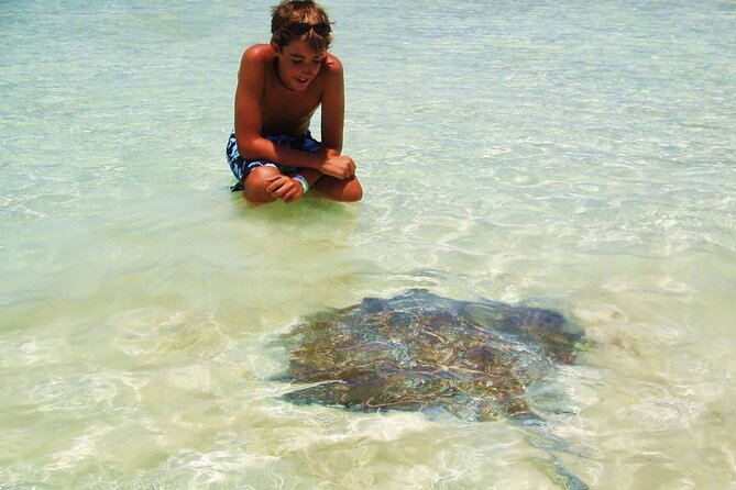 Sailing at Isla Contoy & Isla Mujeres! Snorkel at Ixlache Reef - Why Isla Contoy Makes This Day Special