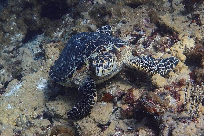 Scuba Diver Certification Course - The 20-minute boat ride to the marine park