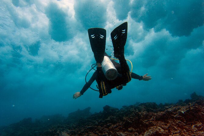 Scuba Diving (1st time) in Cancun Beginner's WELCOMED! - Why MUSA makes a strong first underwater outing