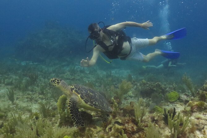 Scuba Diving (1st time) in Cancun Beginner's WELCOMED! - Staying comfortable from the first breath