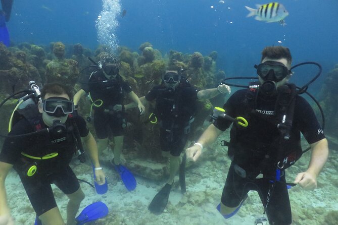 Scuba Diving (1st time) in Cancun Beginner's WELCOMED! - Cancellation, weather, and useful planning details