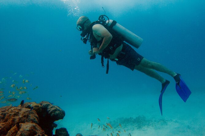 Scuba Diving (1st time) in Cancun Beginner's WELCOMED! - The reef session adds fish and open-water scenery