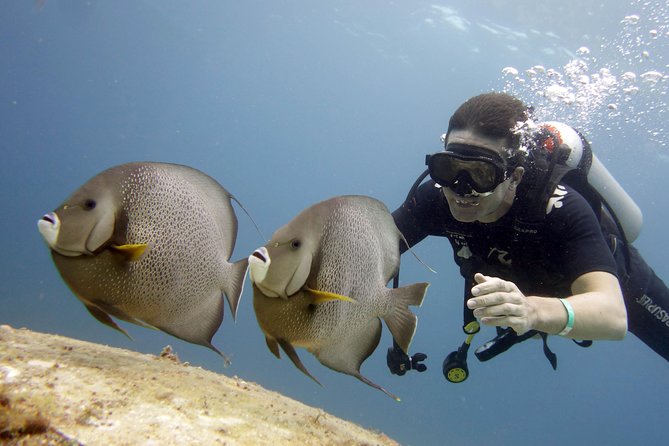 Scuba diving at MUSA the underwater museum for certified divers - Group size and the value of personal attention