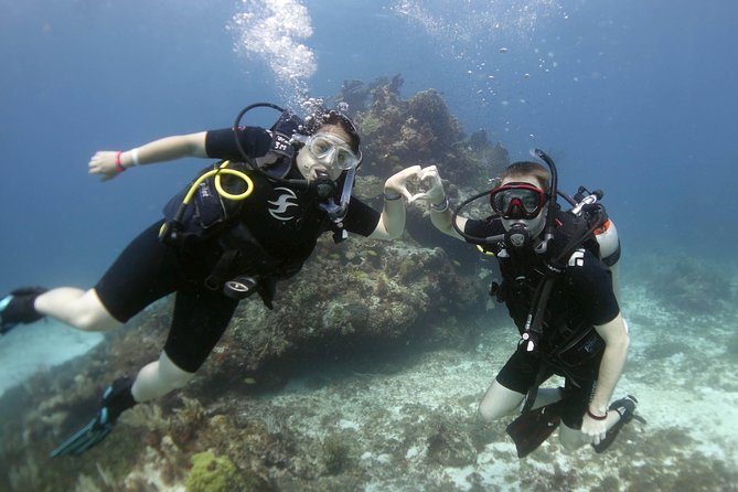 Scuba diving at MUSA the underwater museum for certified divers - Who should book this Isla Mujeres outing