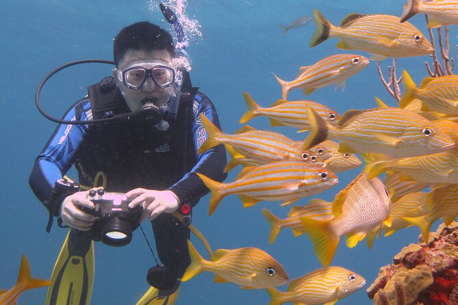 Scuba Diving Under Water Museum and Reef for beginners - Instructor quality matters more than the scenery