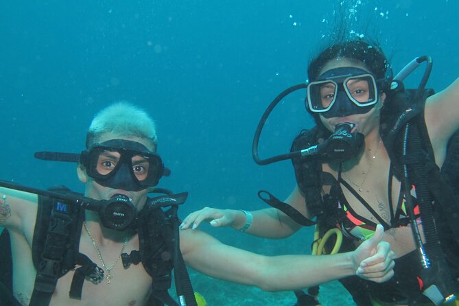 Scuba Diving Under Water Museum and Reef for beginners - Two sessions are better than one