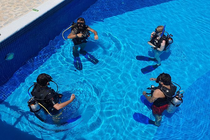 Scuba Diving Under Water Museum and Reef for beginners - Expect a morning at the marina, not nonstop action