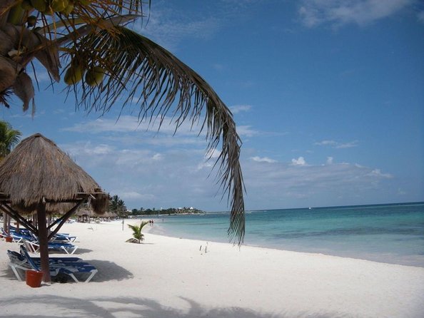 Sea Turtle Snorkeling Ecofriendly Tour from Cancun & Riviera Maya - Key points to know before you book