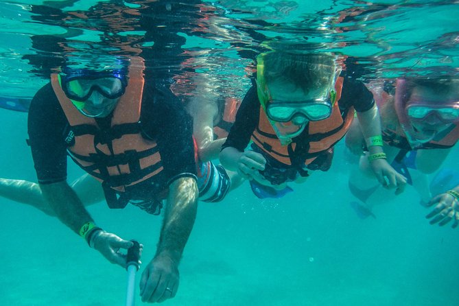 Sea Turtle Snorkeling Ecofriendly Tour from Cancun & Riviera Maya - What first-time snorkelers should expect