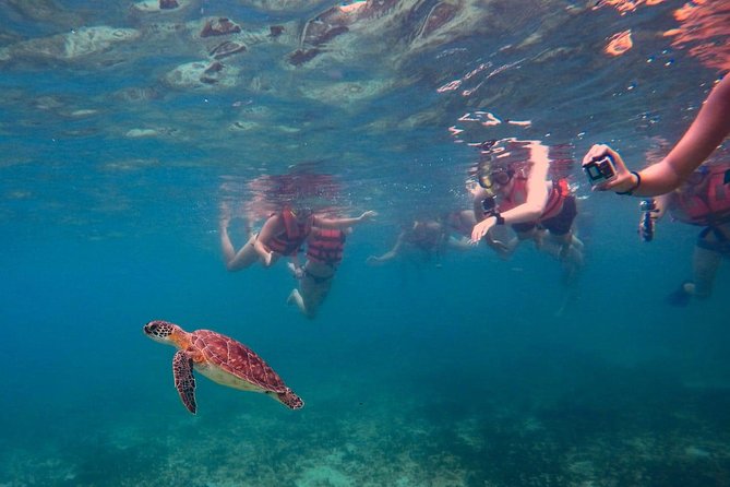 Sea Turtle Snorkeling Ecofriendly Tour from Cancun & Riviera Maya - The cenote along La Ruta de los Cenotes