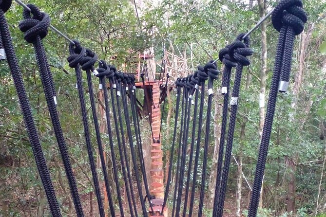 Shared ATV's and Zip Lines and Swimming in a Real Cenote. - Lunch and the value of the five-hour schedule