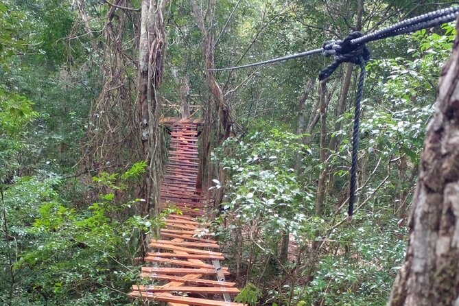 Shared ATV's and Zip Lines and Swimming in a Real Cenote. - Pickup from Cancun and the time on the road