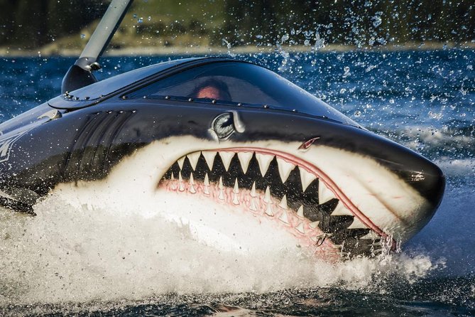 Shark Ride in Cancun - Seabreacher - Getting ready inside the shark-shaped craft