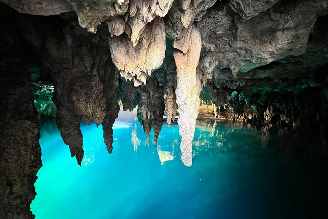Single ATV, Horseback Riding, Ziplines and Cenote Swim - Swimming in an interactive Mayan cenote