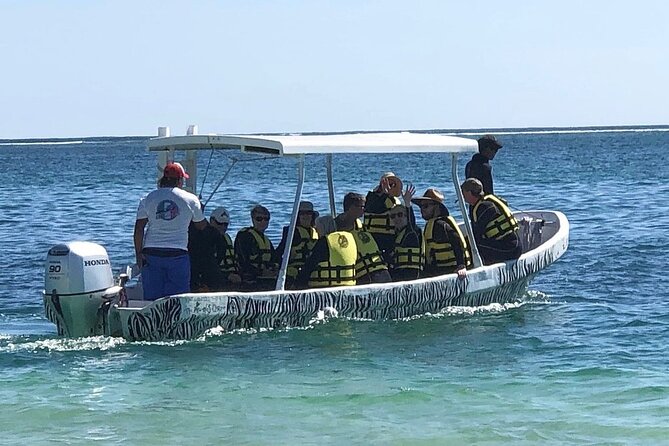 Small-Group Mesoamerican Barrier Reef Snorkeling in Puerto Morelos - A good fit for families and first-time snorkelers