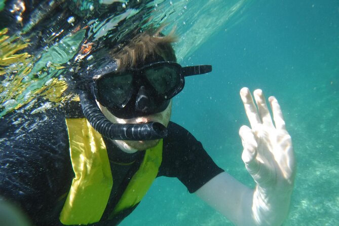 Small-Group Mesoamerican Barrier Reef Snorkeling in Puerto Morelos - The guides are a major part of the experience
