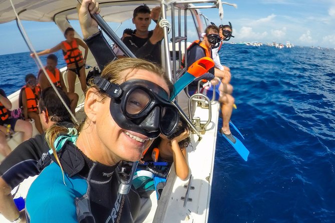 Small Group Whale Shark Encounter - 10 years in business - Playa Norte, Ceviche, and a Slower Second Half
