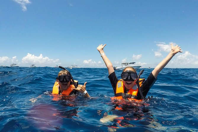 Small Group Whale Shark Encounter - 10 years in business - Who Will Enjoy This Most