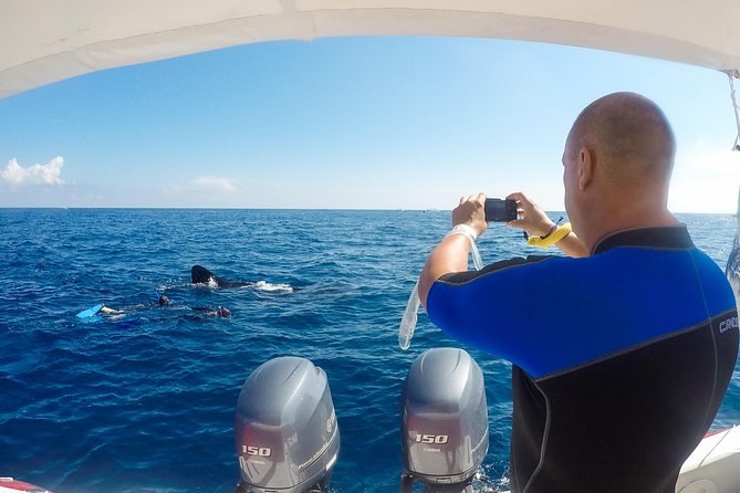 Small Group Whale Shark Encounter - 10 years in business - My Call: A Strong Choice for a Whale Shark Day