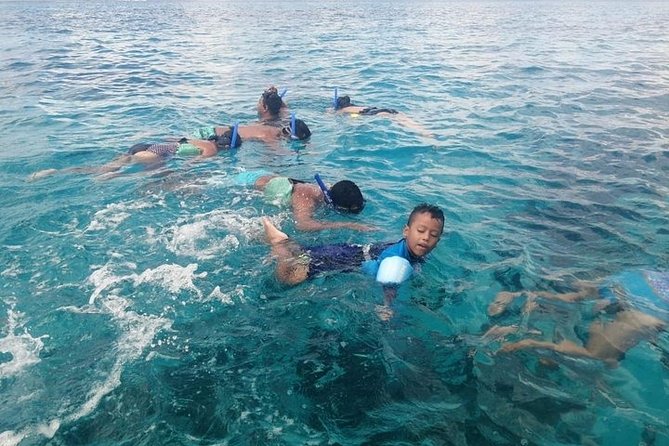 Snorkel Adventure at Cozumel! Transportation from Cancun & Playa Del Carmen - Why Cozumel makes this a serious snorkeling day trip