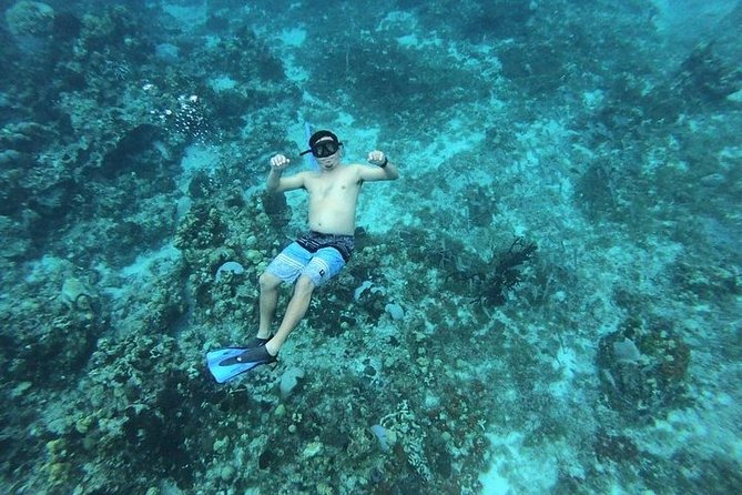 Snorkel Adventure at Cozumel! Transportation from Cancun & Playa Del Carmen - El Cielo and the starfish sandbar