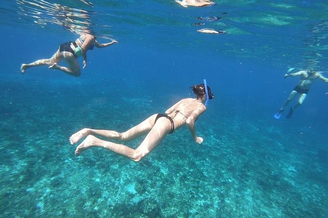 Snorkel Adventure at Cozumel! Transportation from Cancun & Playa Del Carmen - Cielito Beach and the included meal