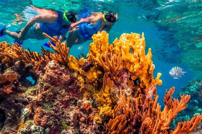 Snorkel and swim in Cozumel el Cielo Reef, Palancar and Colombia - Snorkeling equipment and safety checks