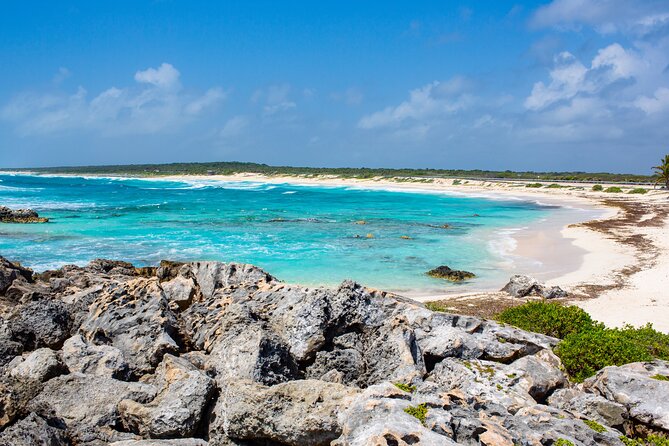 Snorkel and swim in Cozumel el Cielo Reef, Palancar and Colombia - Who should book this Cozumel day trip?
