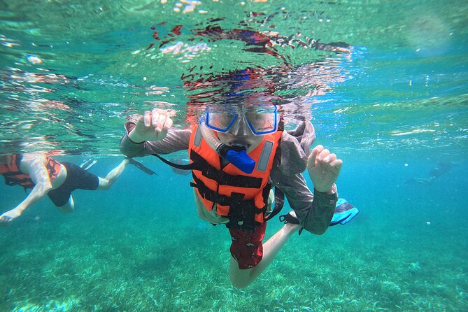 Snorkel at the Reef 2 HOURS Puerto Morelos National park - Puerto Morelos, a quieter reef base near Cancun