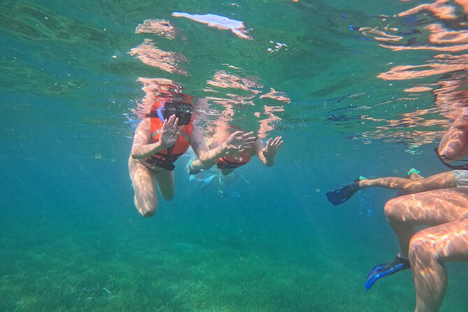 Snorkel at the Reef 2 HOURS Puerto Morelos National park - Timing, weather, and cancellation details