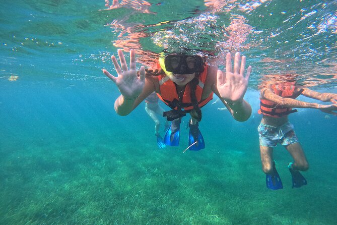 Snorkel at the Reef 2 HOURS Puerto Morelos National park - Who should book this Puerto Morelos reef trip?